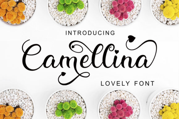 Bring Elegance to Your Handmade Creations with Camellina Script