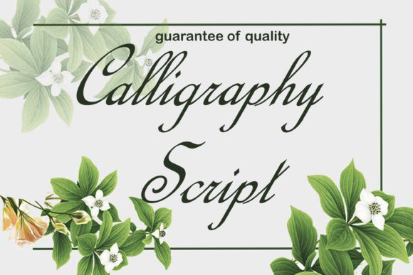Calligraphy Script: A Graceful Font for Elegant Web Design