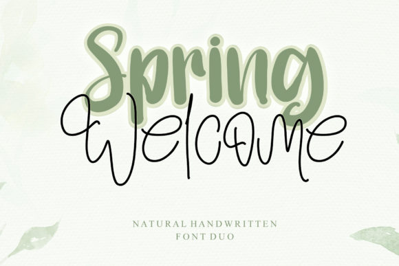 Choosing Spring Welcome for a Web Design Project: A Real Layout Test