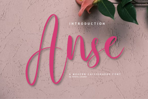 Enhance Your Brand with Anse Script Font
