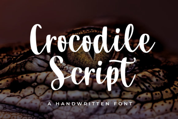 Enhance Your Brand with Crocodile Script Font