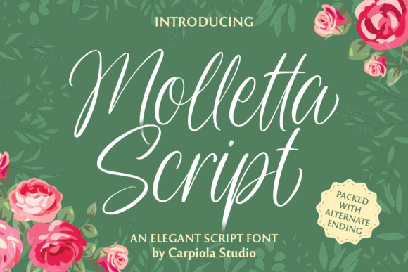 Enhance Your Brand with Molleta Script Font