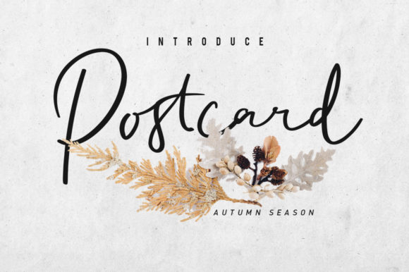 Enhance Your Brand with Postcart Script Font