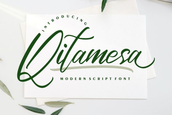 Qitamesa Script: Elevate Your Brand with a Modern Calligraphy Font