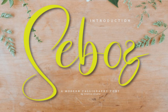 Seboz Script: A Timeless Handwritten Font for Web Design