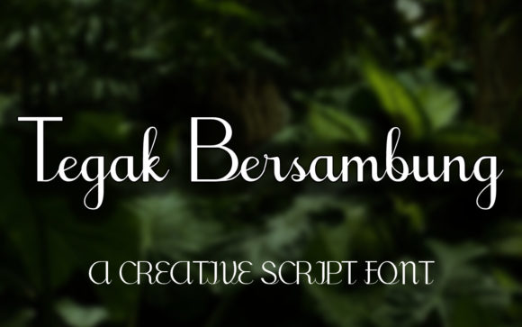 Tegak Bersambung: A Flowing Script Font for Modern Web Design